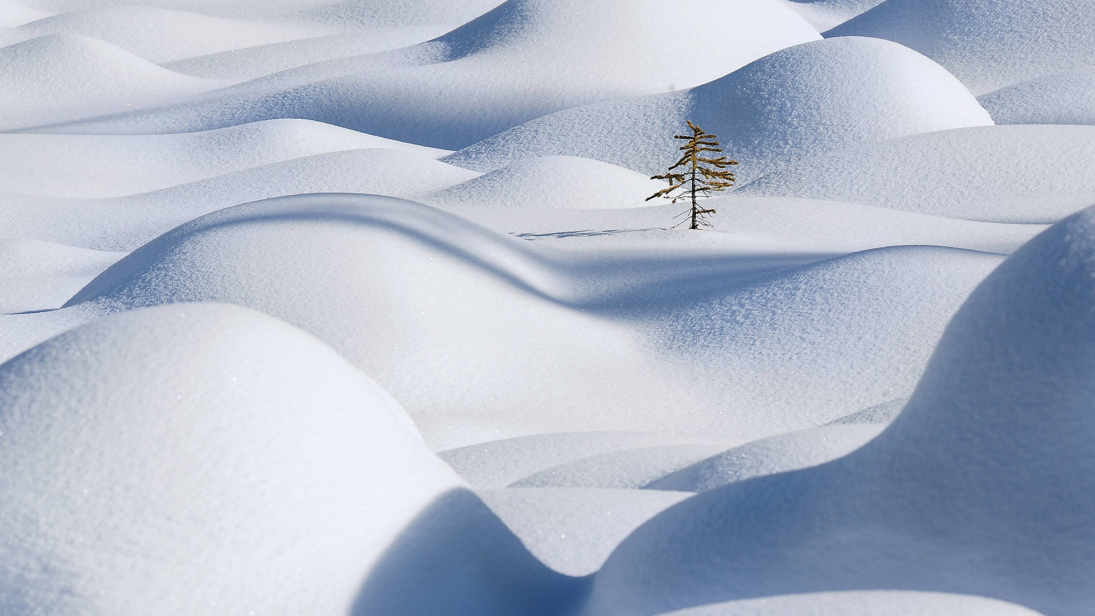 Snow In Sahara Hd , HD Wallpaper & Backgrounds