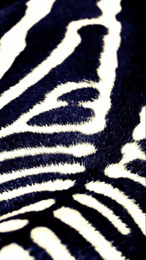 Wallpapers Abstractos - Zebra , HD Wallpaper & Backgrounds