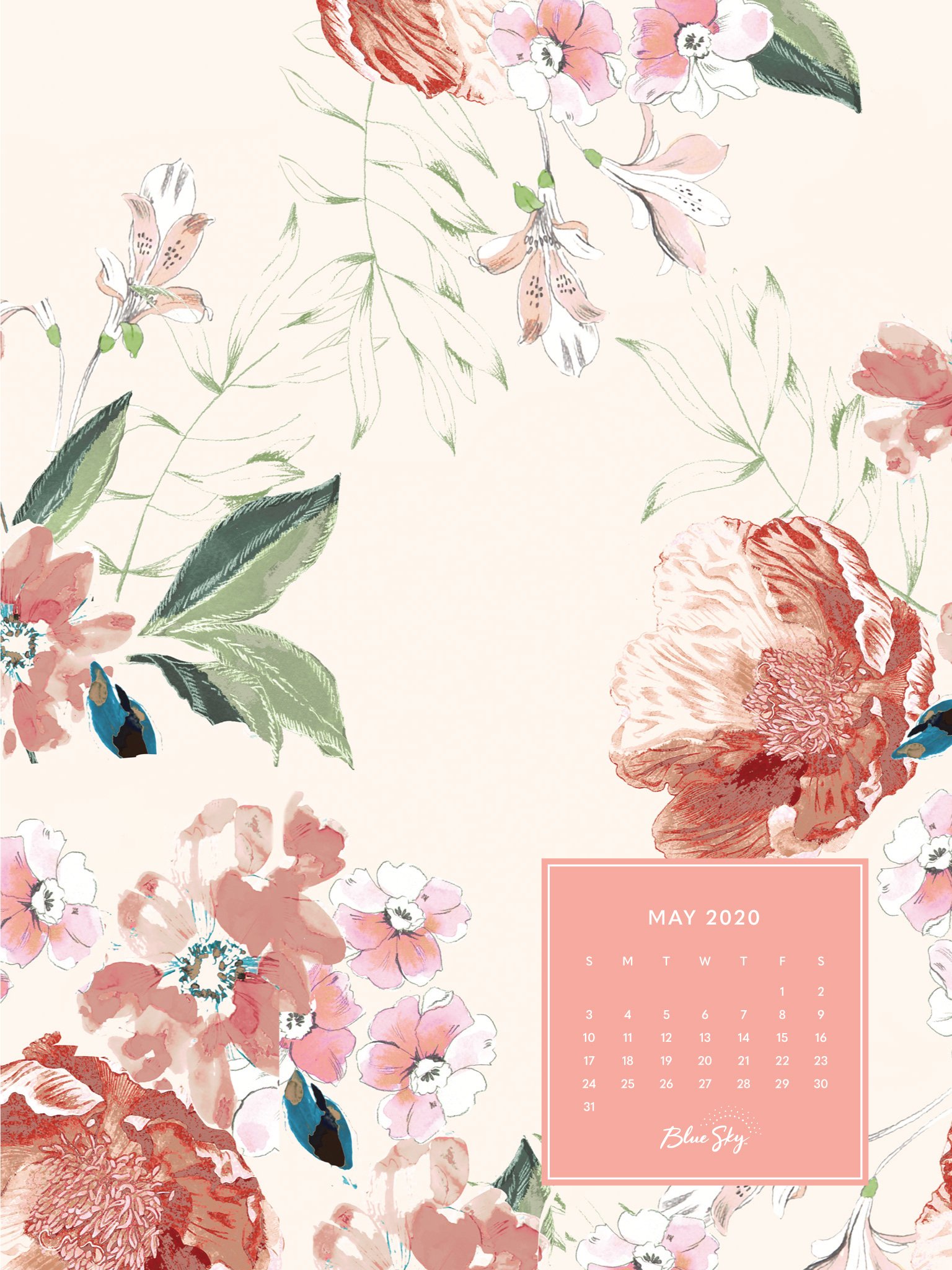 May 2020 Calendar Desktop , HD Wallpaper & Backgrounds