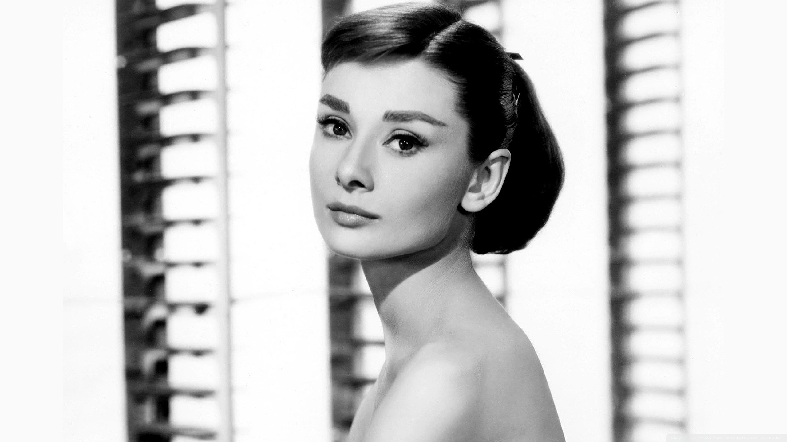 Hd Audrey Hepburn Face , HD Wallpaper & Backgrounds
