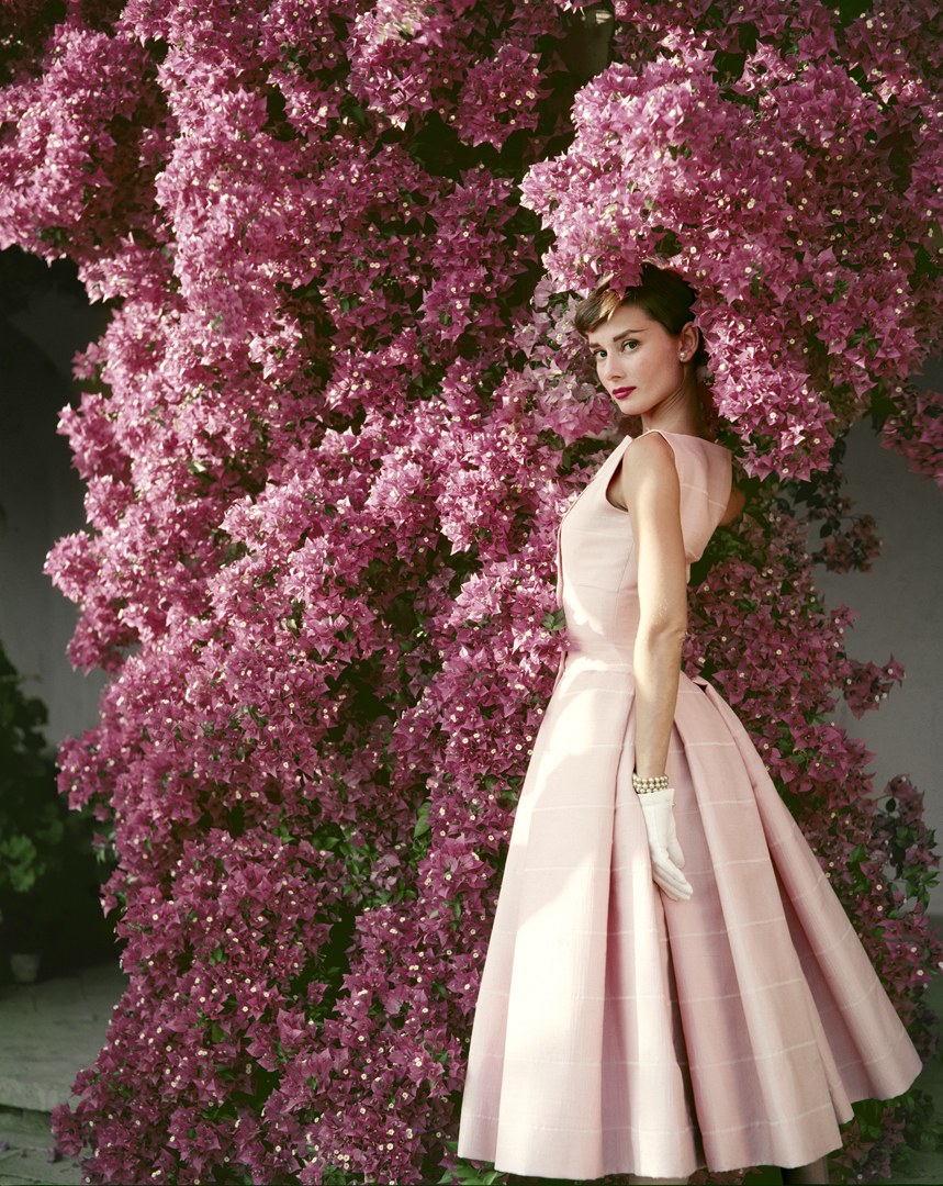 Audrey Hepburn Rare , HD Wallpaper & Backgrounds