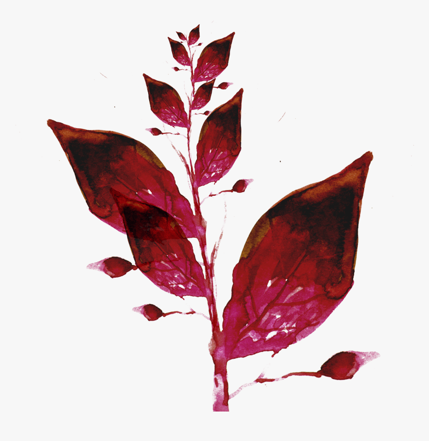 Leaf Ink Color Wallpaper - Watercolor Red Leaves Png , HD Wallpaper & Backgrounds