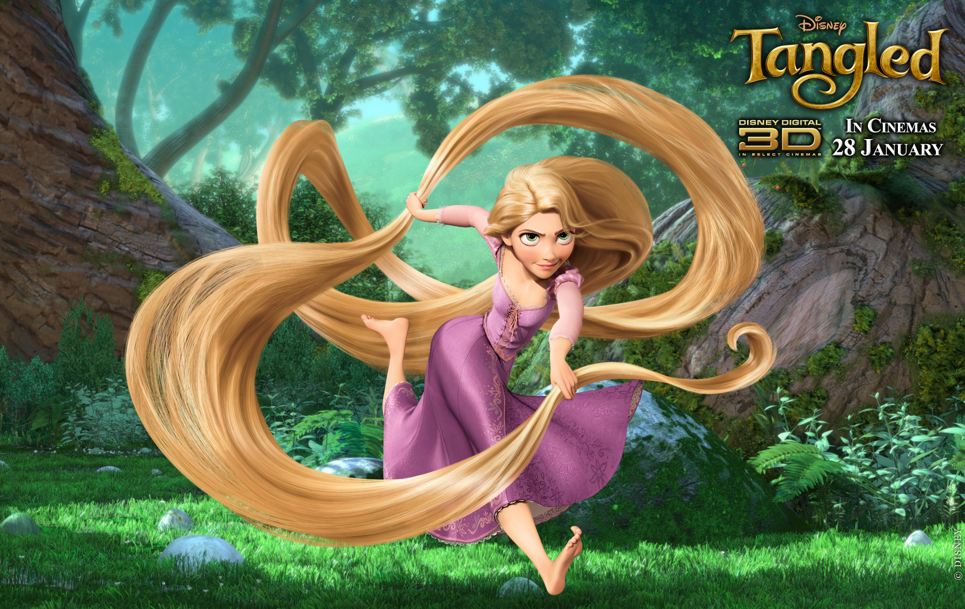 Disney Movie Rapunzel Remake , HD Wallpaper & Backgrounds