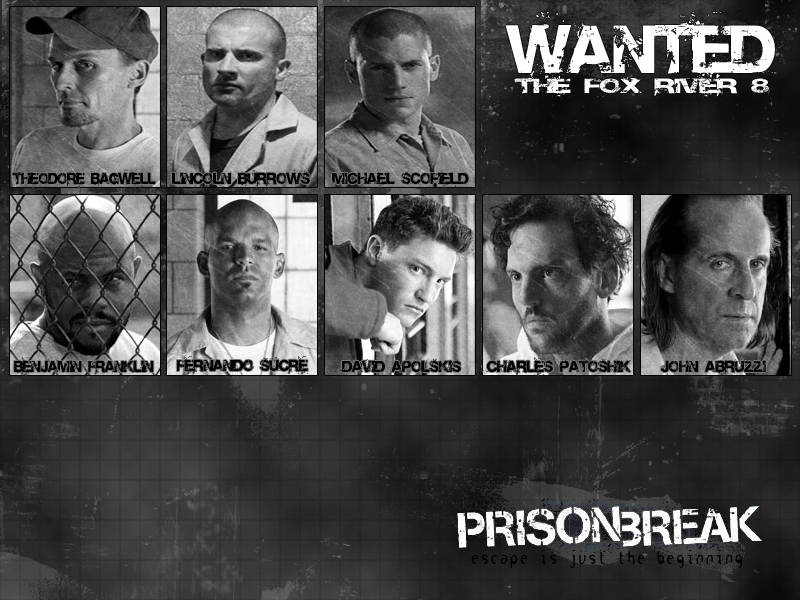 Wanted - Prison Break 8 Prisoners , HD Wallpaper & Backgrounds