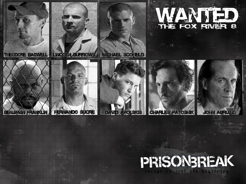 Wanted Prison Break 8 Prisoners Hd Wallpaper Backgrounds Download