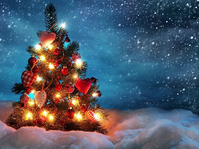 Beautiful Christmas Tree Wallpaper - Beautiful Christmas Images Hd , HD Wallpaper & Backgrounds