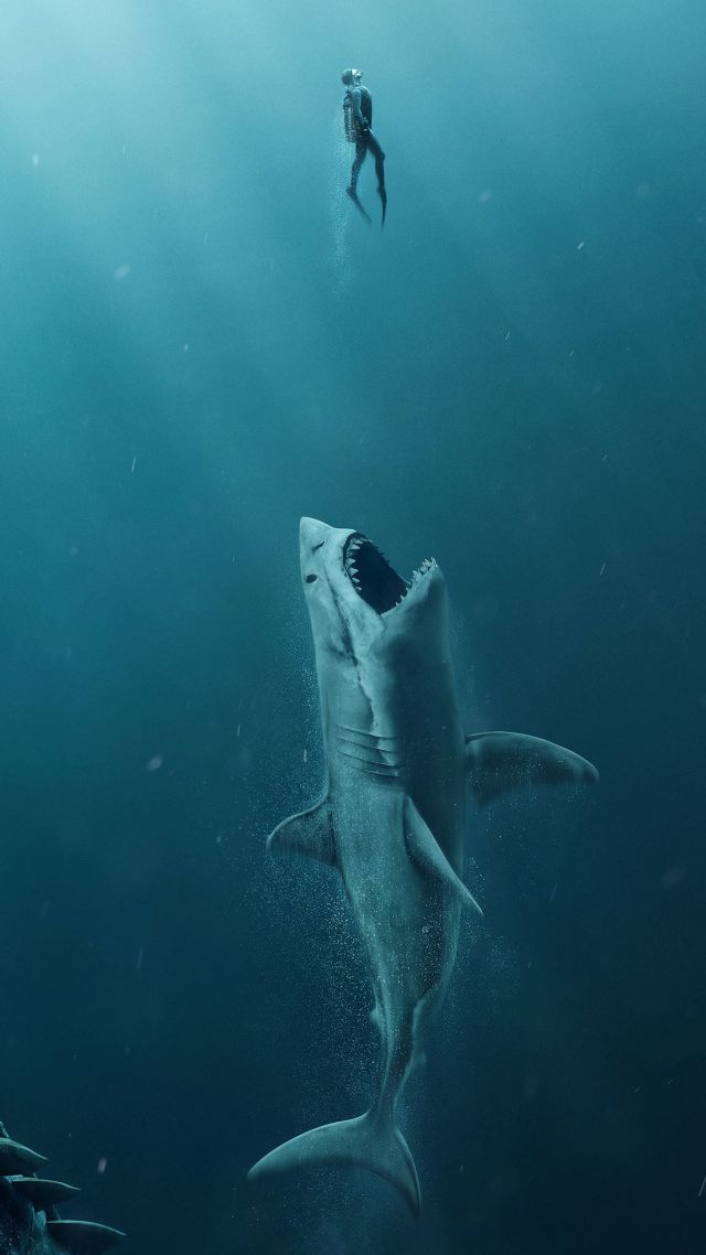 The Meg, Shark, 4k - Tiburones Fondos De Pantalla , HD Wallpaper & Backgrounds