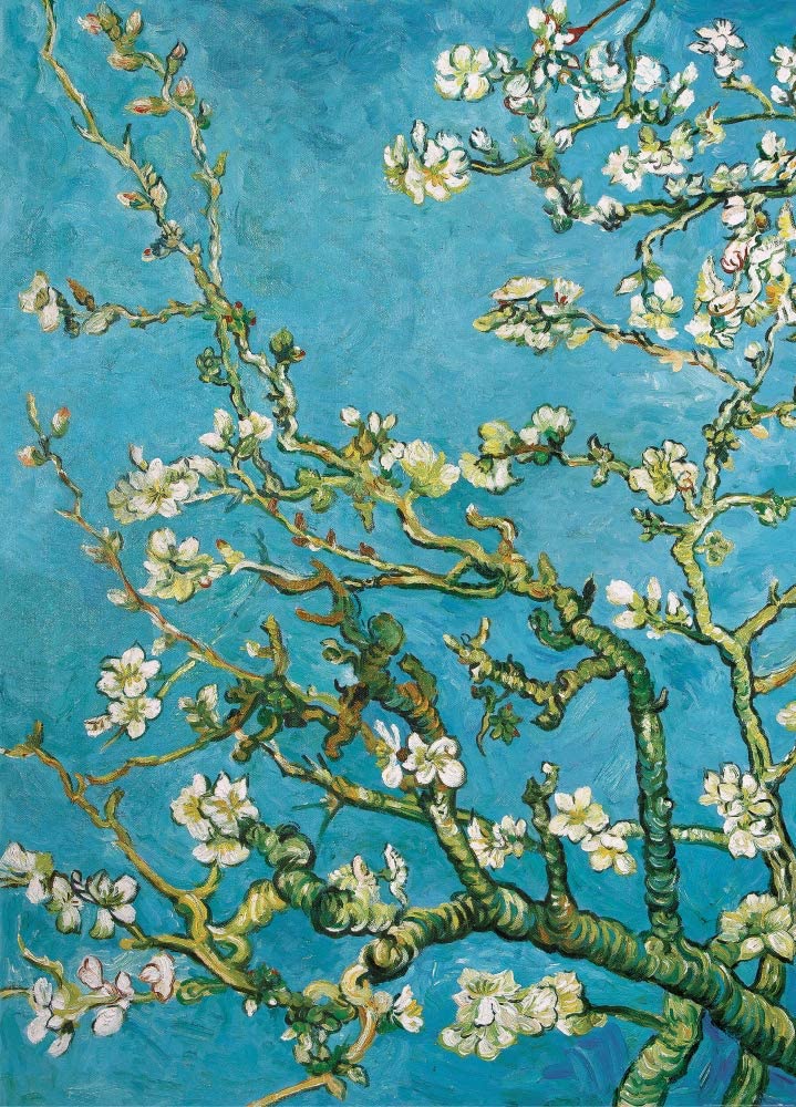 Almendro En Flor Van Gogh , HD Wallpaper & Backgrounds