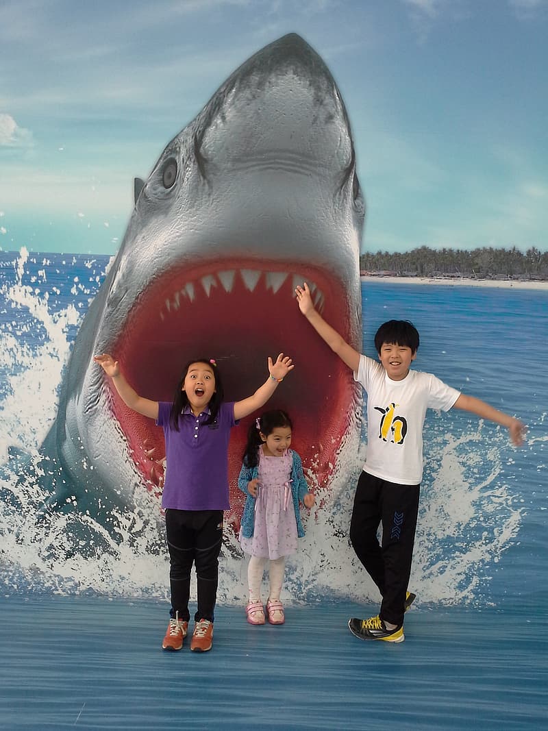 Children S Taking Photo At Shark Wallpaper - Shark , HD Wallpaper & Backgrounds