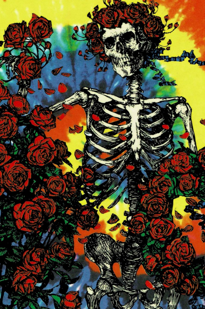 Grateful Dead Iphone 11 , HD Wallpaper & Backgrounds