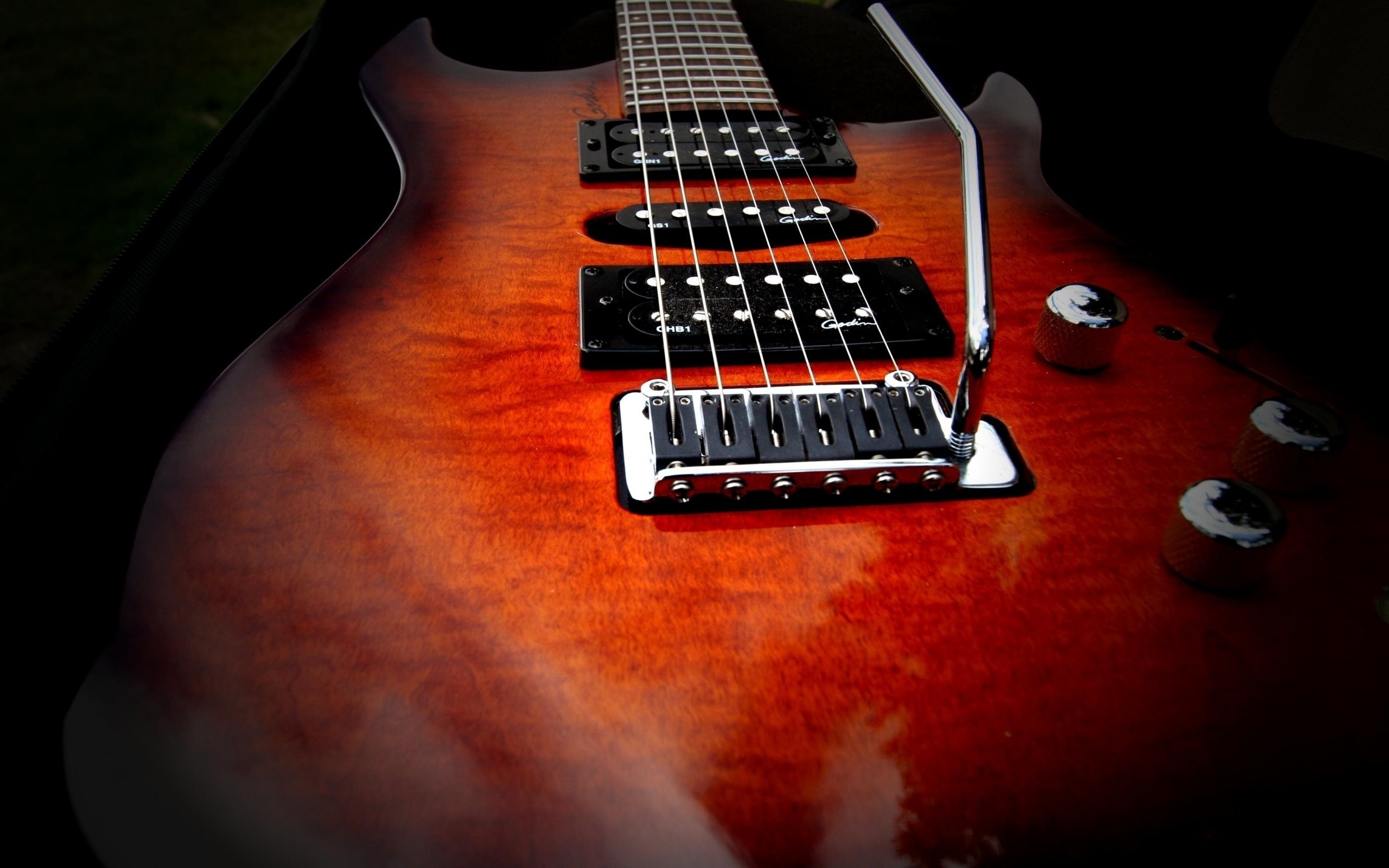 Electric Guitar, Strings, Vulture - Electric Guitar Facebook Cover , HD Wallpaper & Backgrounds