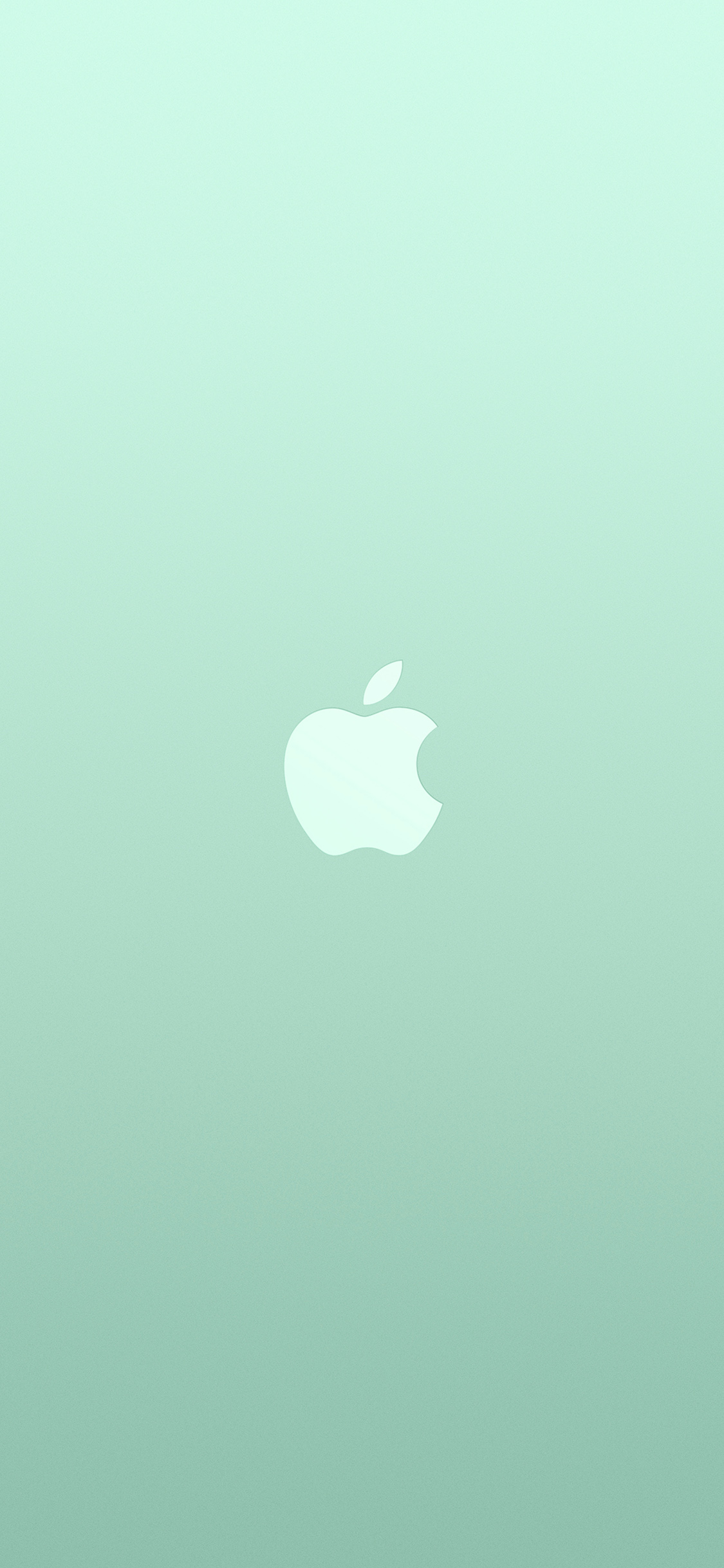 Granny Smith , HD Wallpaper & Backgrounds