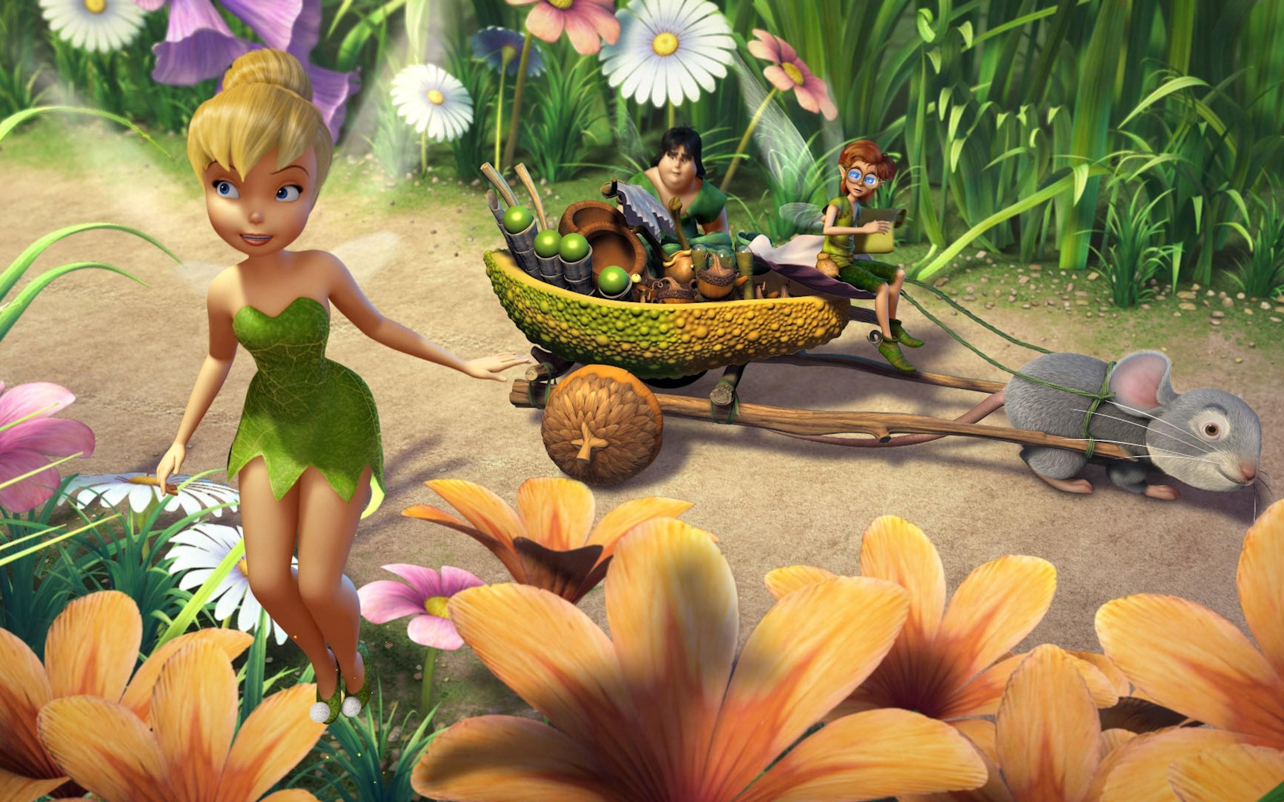Full Picture Of Tinkerbell , HD Wallpaper & Backgrounds