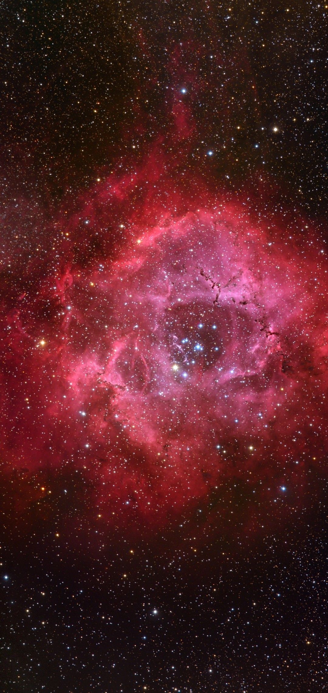 Rosette Nebula , HD Wallpaper & Backgrounds