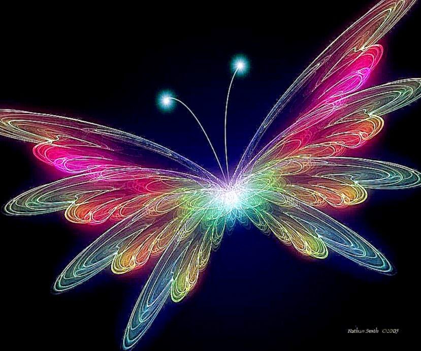 Download Beautiful Butterfly Rainbow Colors Normal - Butterfly Hd Wallpaper 3d , HD Wallpaper & Backgrounds