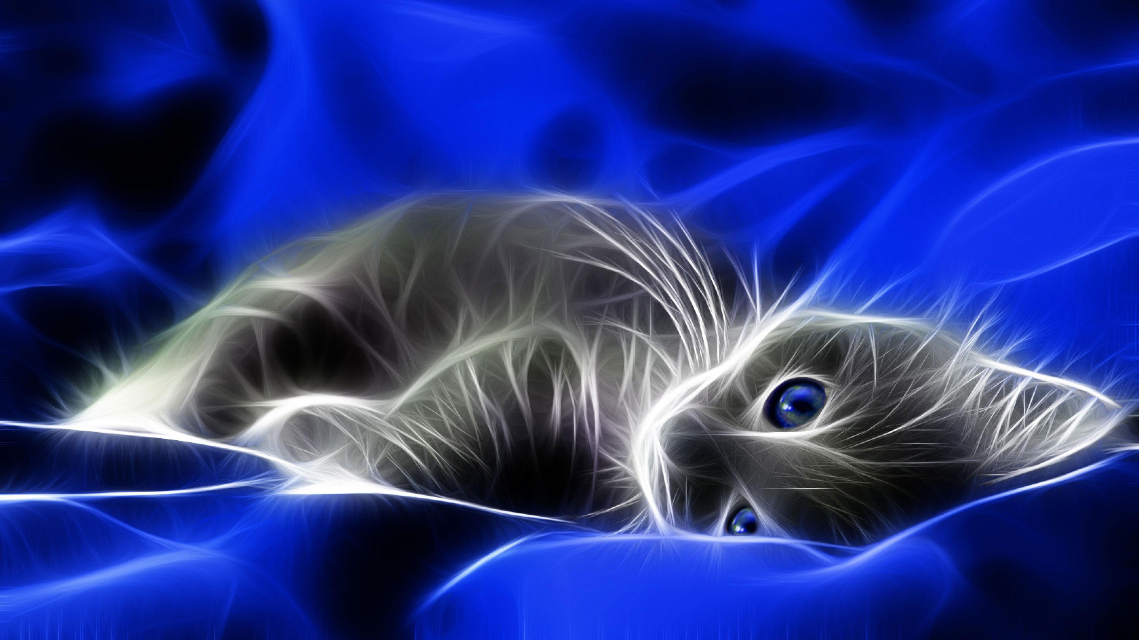 4k Photo Of 3d Cat - Cat Spirit Animal Background , HD Wallpaper & Backgrounds