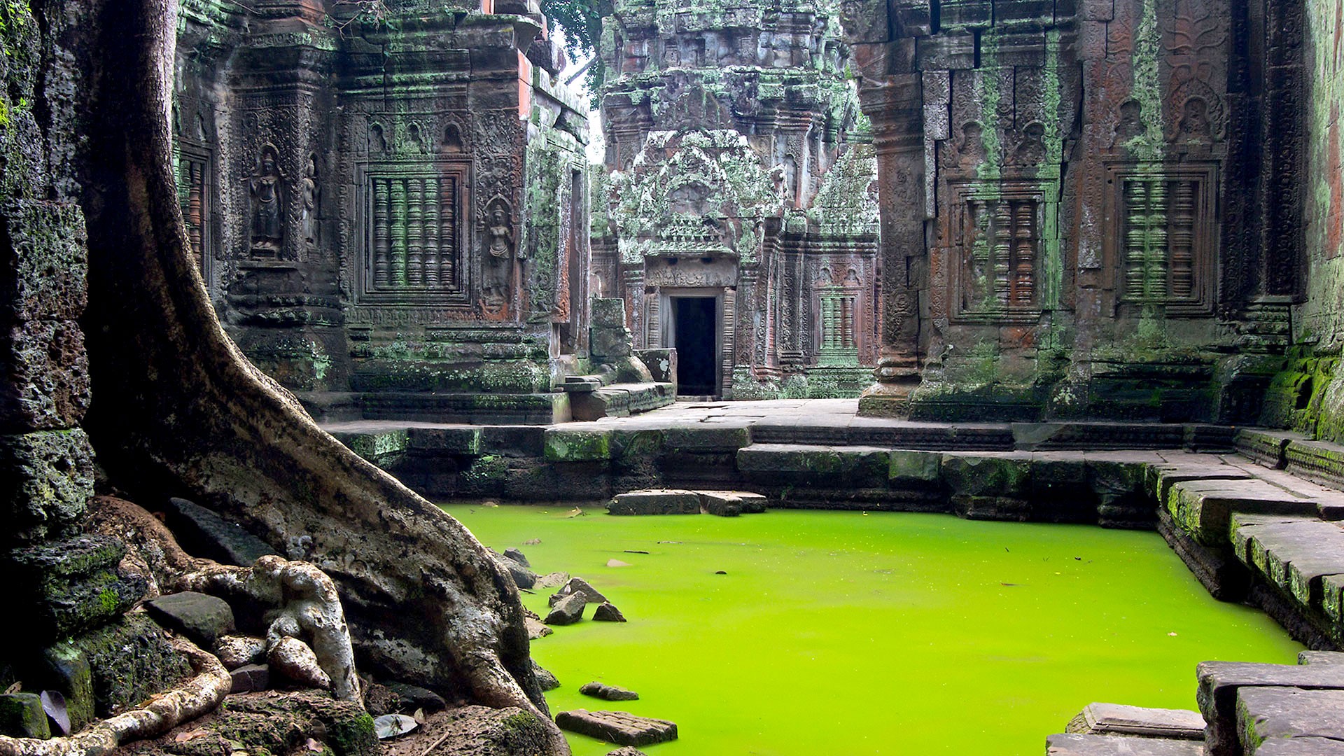 Ta Phrom Abandoned Mini Temple , HD Wallpaper & Backgrounds