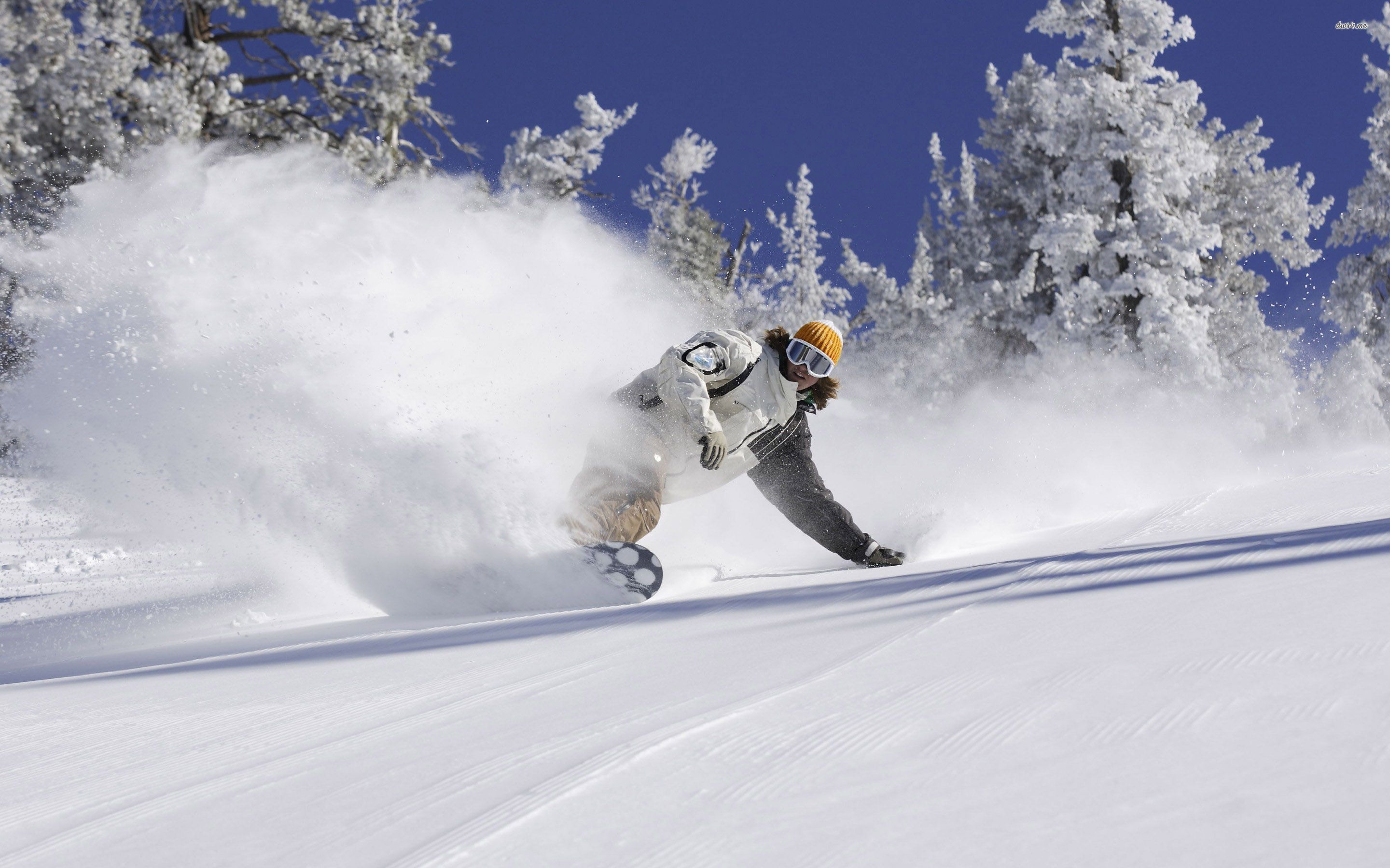 Snowboarding Snowboard Winter Snow Sports Ski Wallpaper - Snowboard Wallpaper Hd , HD Wallpaper & Backgrounds