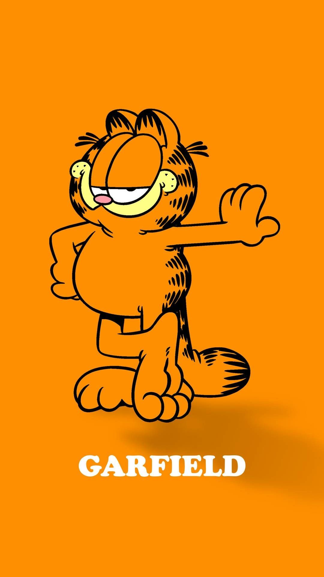 Garfield Lockscreen , HD Wallpaper & Backgrounds