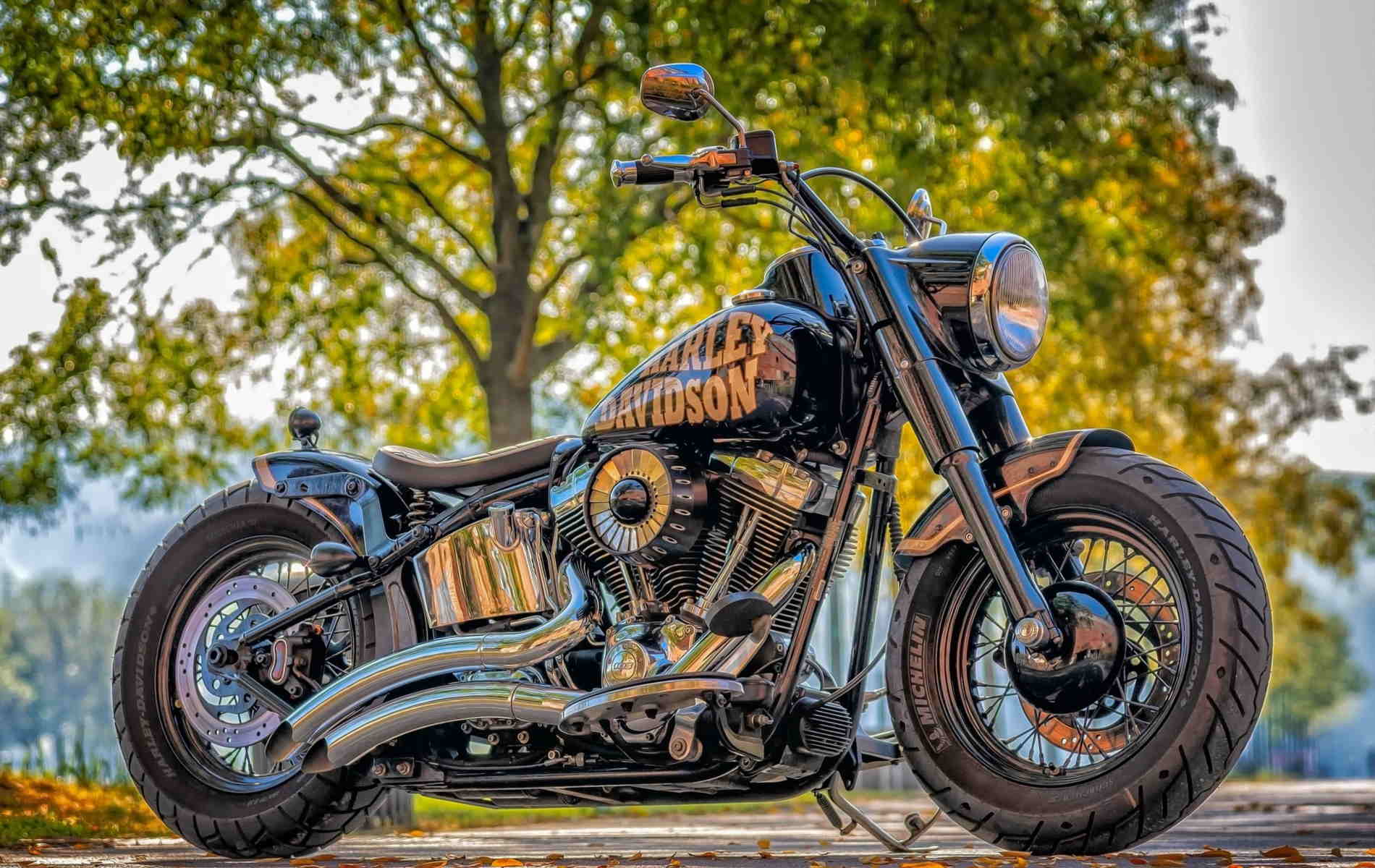 Harley Davidson Motorcycle , HD Wallpaper & Backgrounds