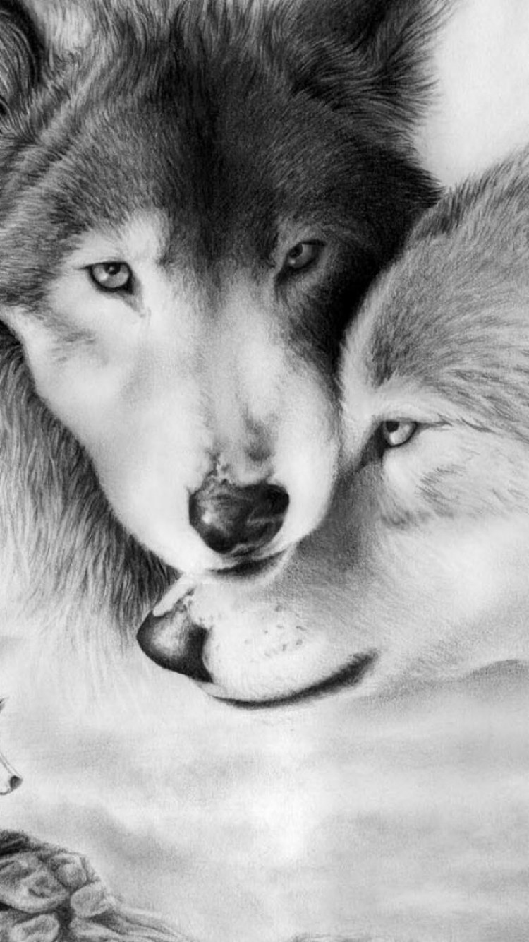 Wolf Love , HD Wallpaper & Backgrounds