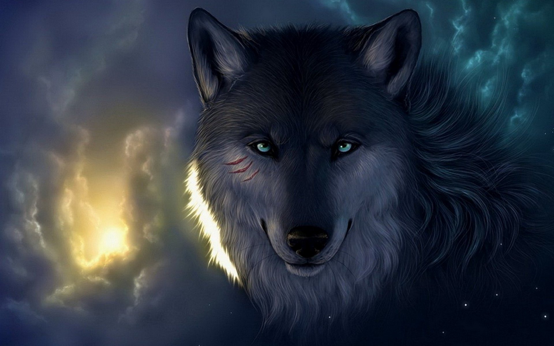 Wallpaper De Lobo - Alpha Wolf Hd , HD Wallpaper & Backgrounds