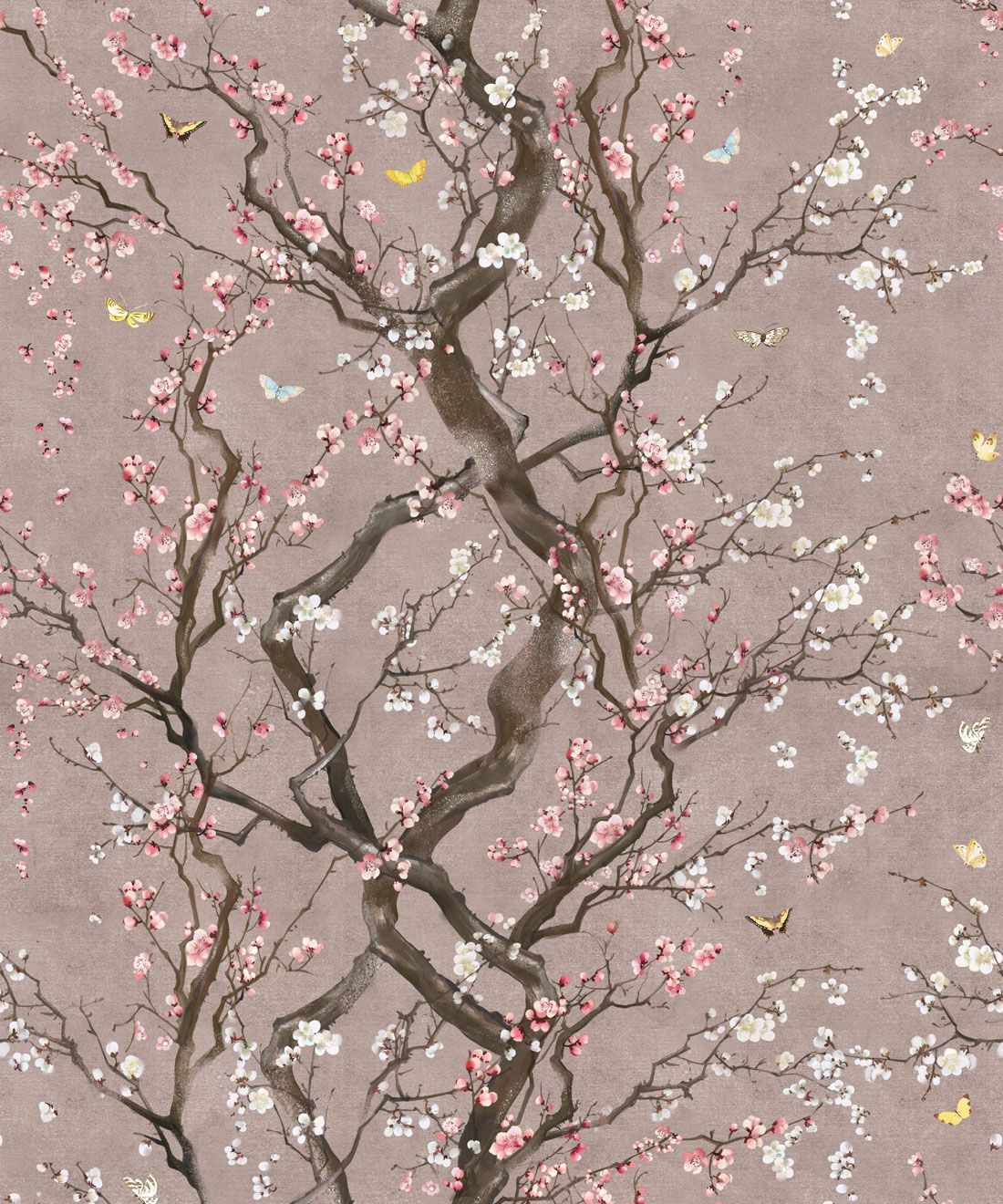 Plum Blossom , HD Wallpaper & Backgrounds