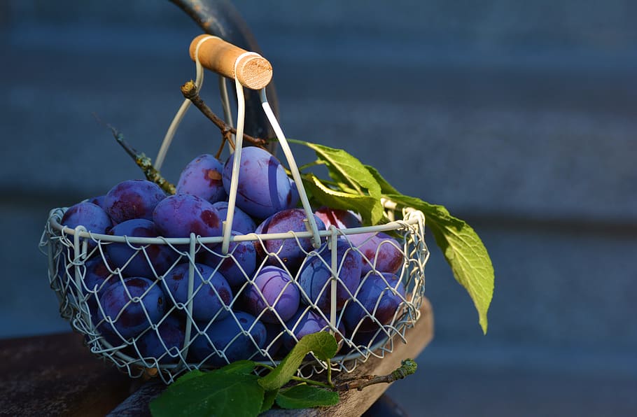 Plum Basket, Blue, Fresh, Fruit, Leaves, Plums, Healthy - High Resolution Photo Of A Basket Of Plums , HD Wallpaper & Backgrounds
