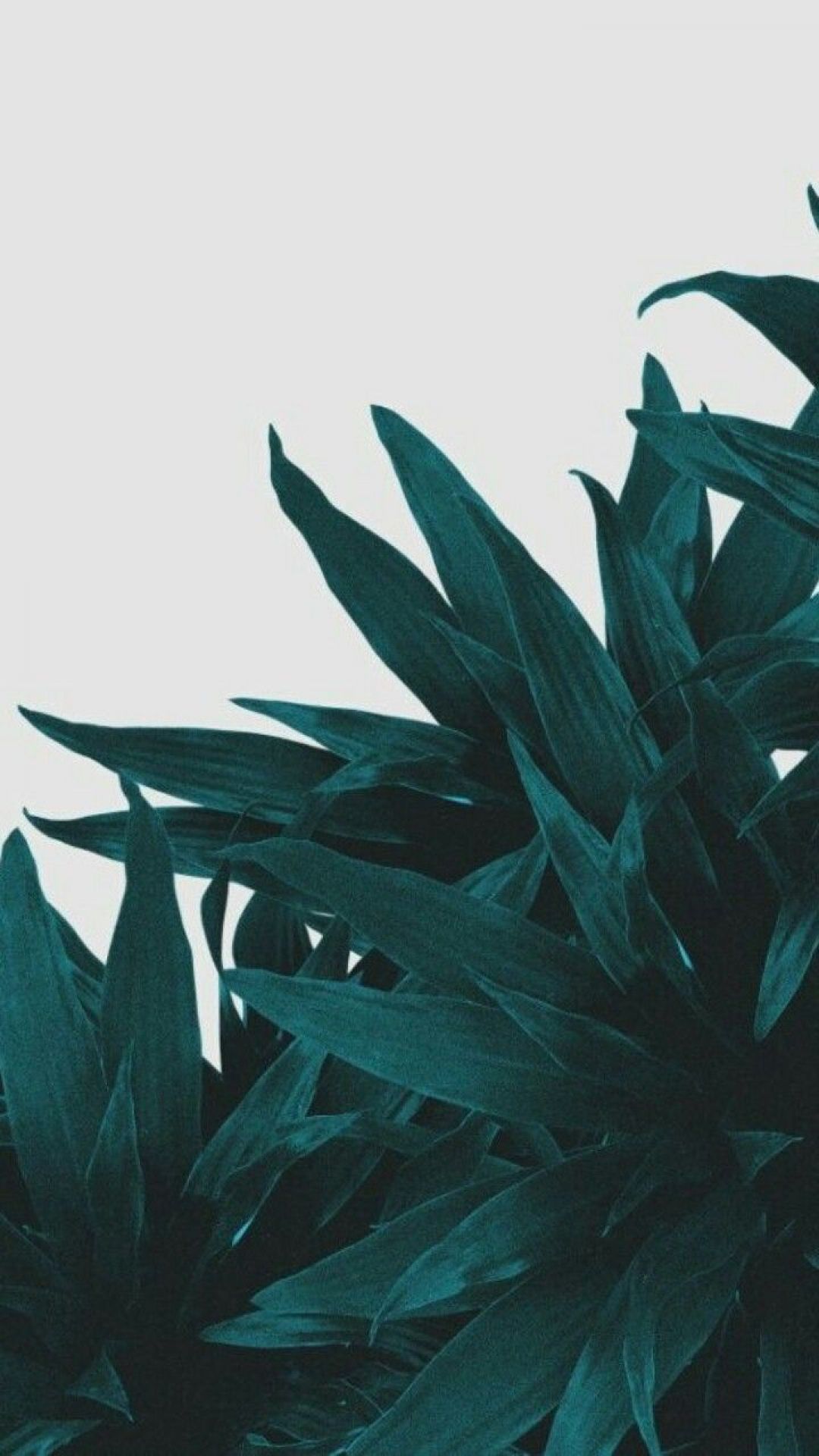 Iphone Wallpaper Floral Green , HD Wallpaper & Backgrounds