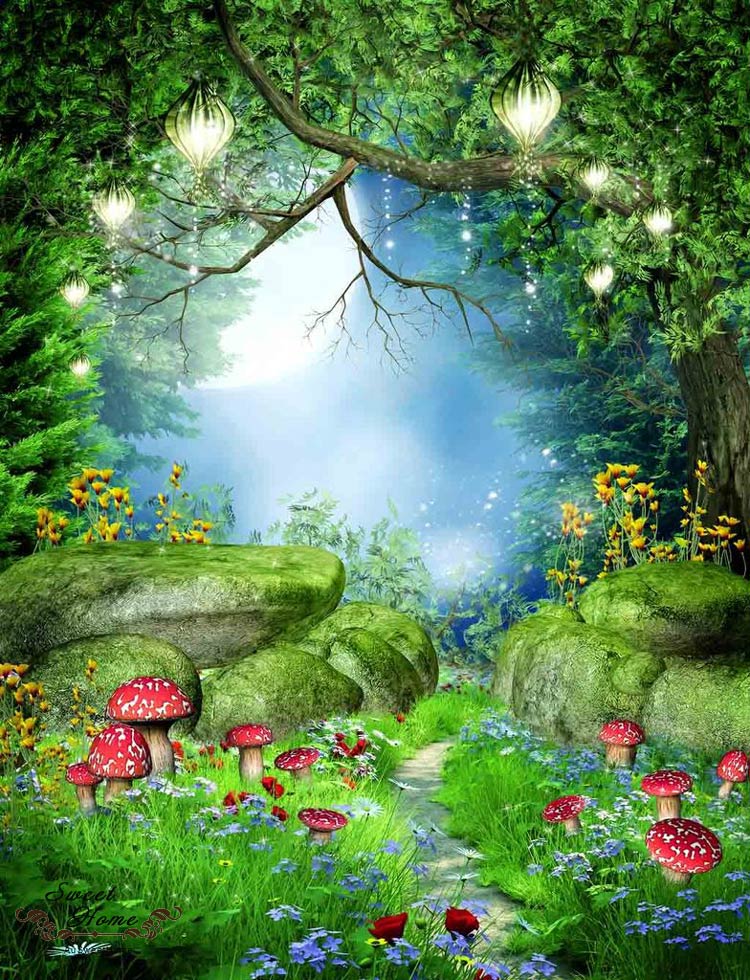 Enchanted Forest , HD Wallpaper & Backgrounds