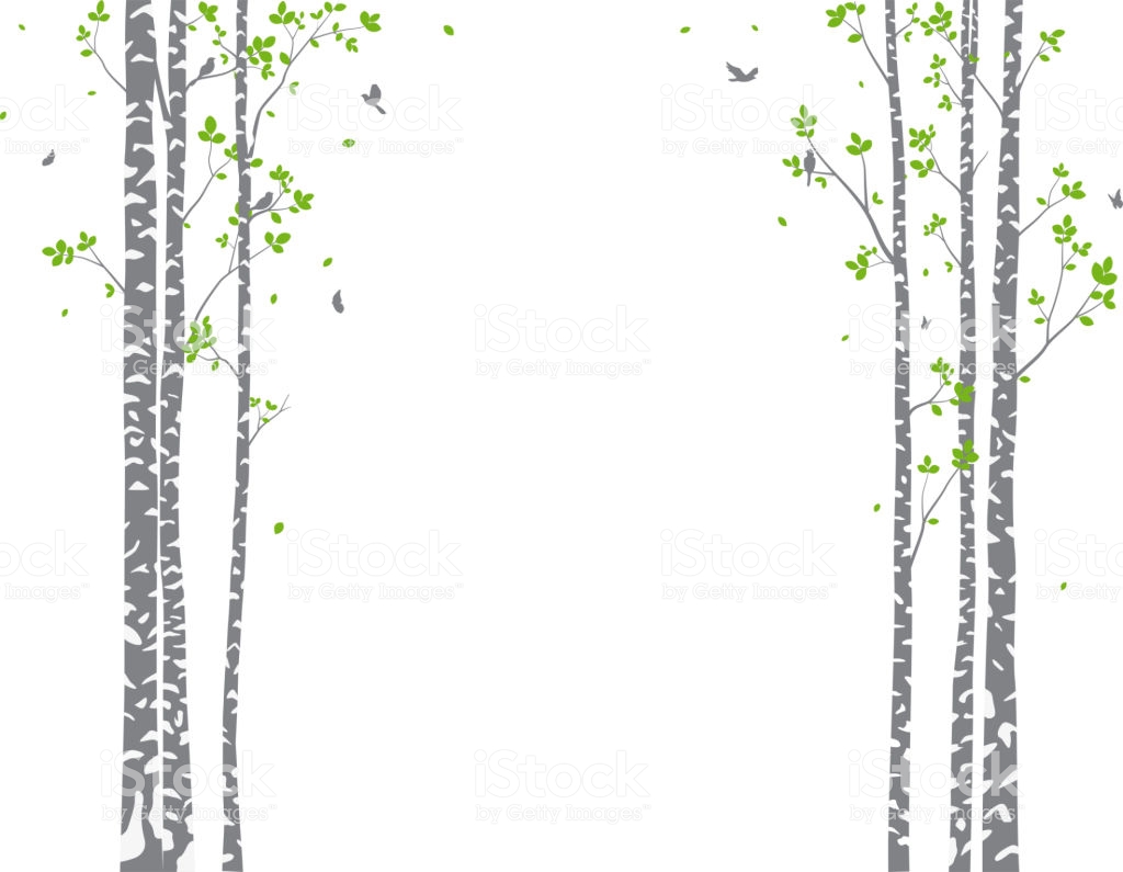 Istock Logo - Wallpaper , HD Wallpaper & Backgrounds