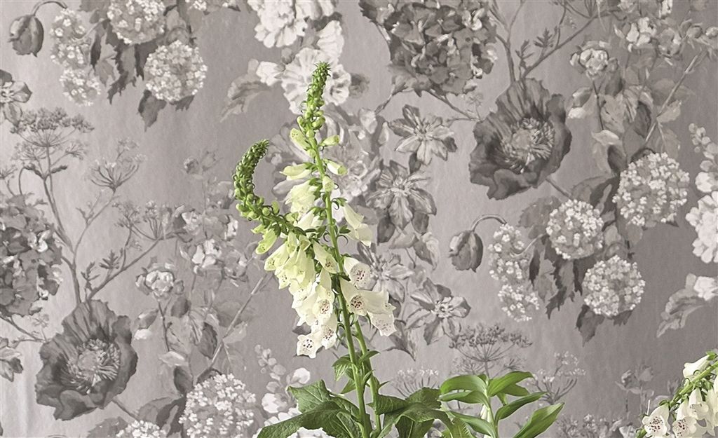 Alexandria Wallpaper Designers Guild - Designers Guild Alexandria
