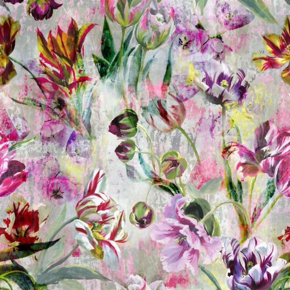 Designers Guild Tulipa Stellata , HD Wallpaper & Backgrounds