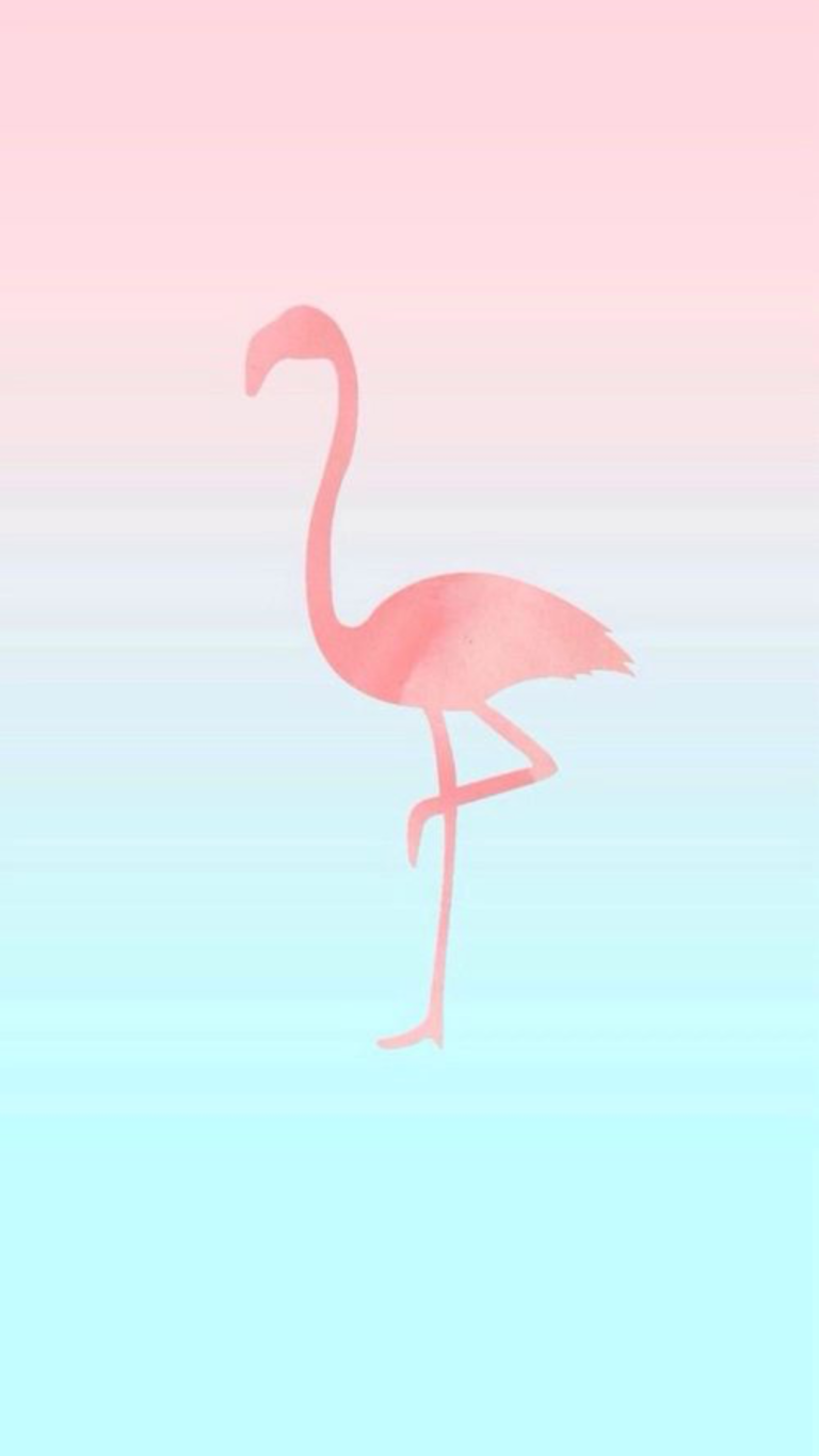 Flamingo Flamingos Iphone Wallpaper Desktop Free Hq , HD Wallpaper & Backgrounds