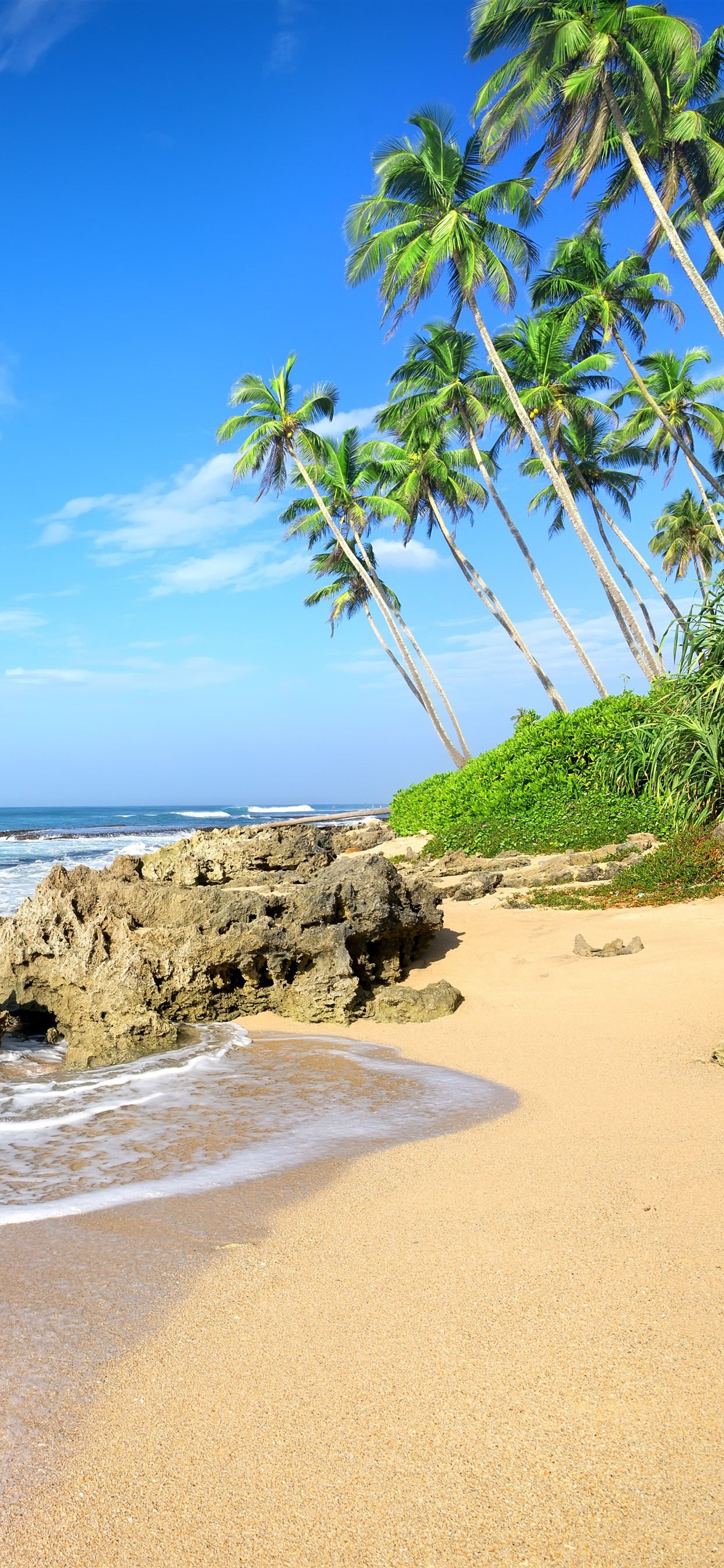 Iphone Wallpaper Palm Trees, Beach, Sea, Waves, Rocks - Sea Tropical Wallpaper 4k , HD Wallpaper & Backgrounds