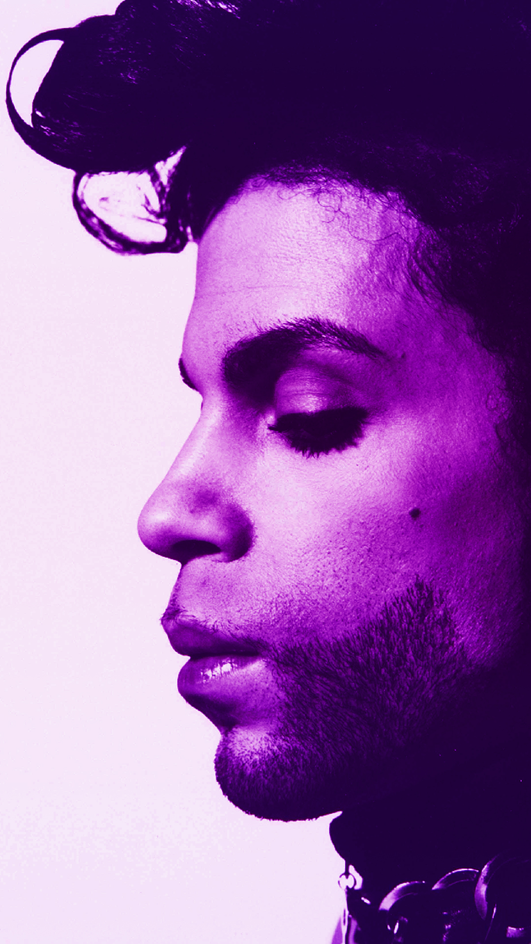 Prince Wallpaper - Prince Profile , HD Wallpaper & Backgrounds