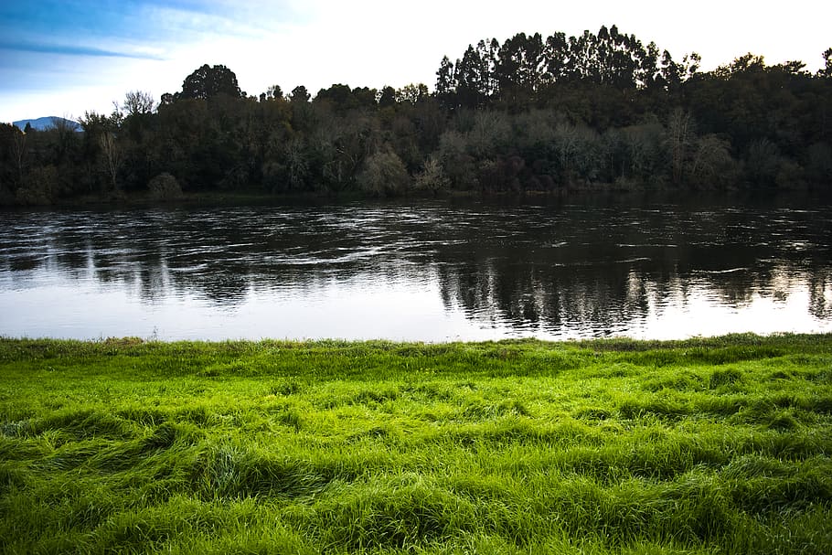 Salvatierra, España, Green, Verde, Agua, Water, Landscape, - Grass , HD Wallpaper & Backgrounds