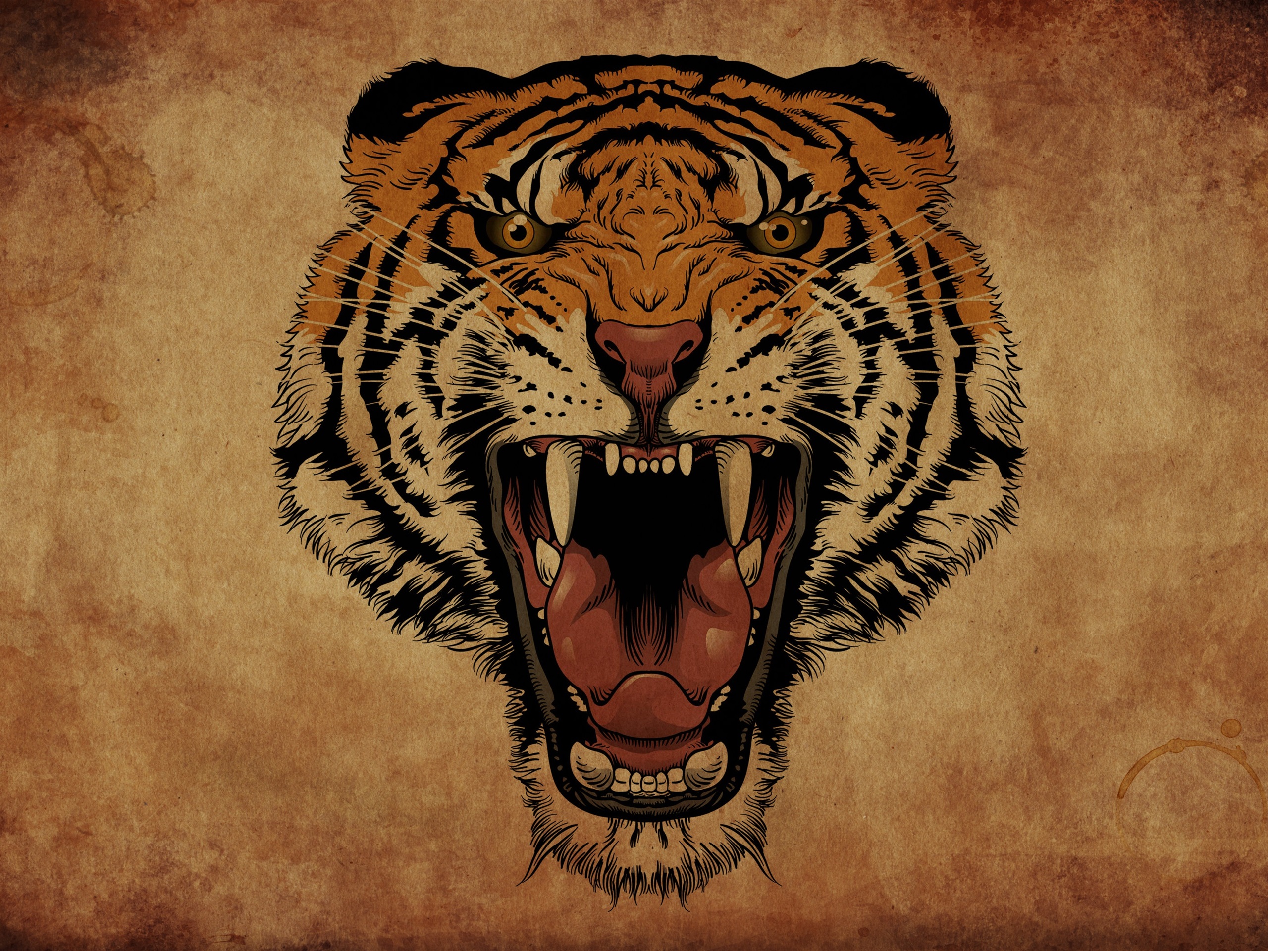 Tiger Mouth Open Drawing , HD Wallpaper & Backgrounds