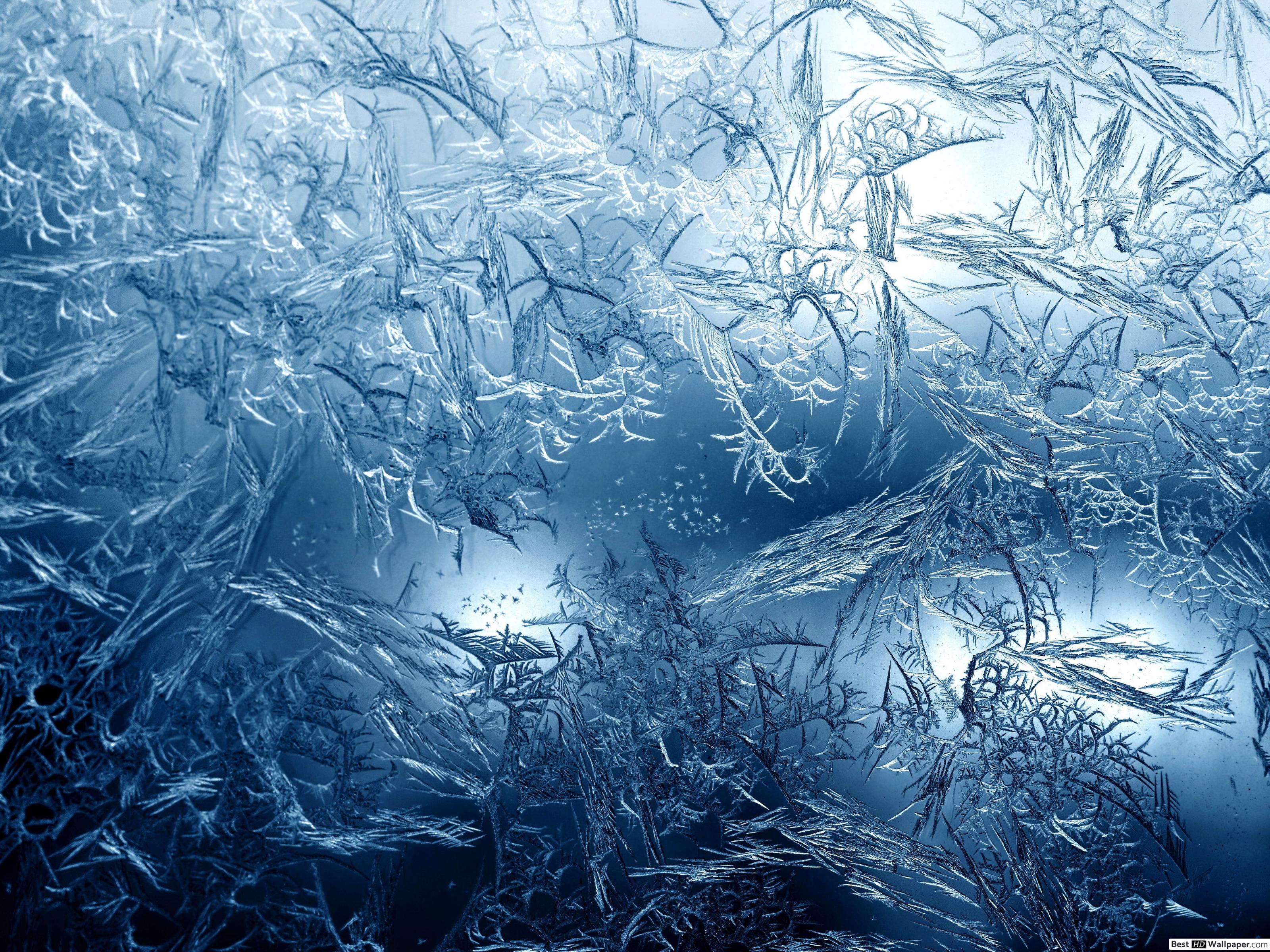 Ice Wallpaper - Ice Macro - Frosted Glass 4k , HD Wallpaper & Backgrounds