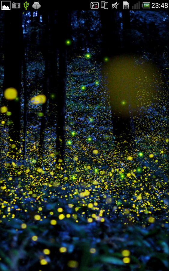 Firefly Live Wallpaper Android Apps On Google Play - Lightning Bug Firefly , HD Wallpaper & Backgrounds