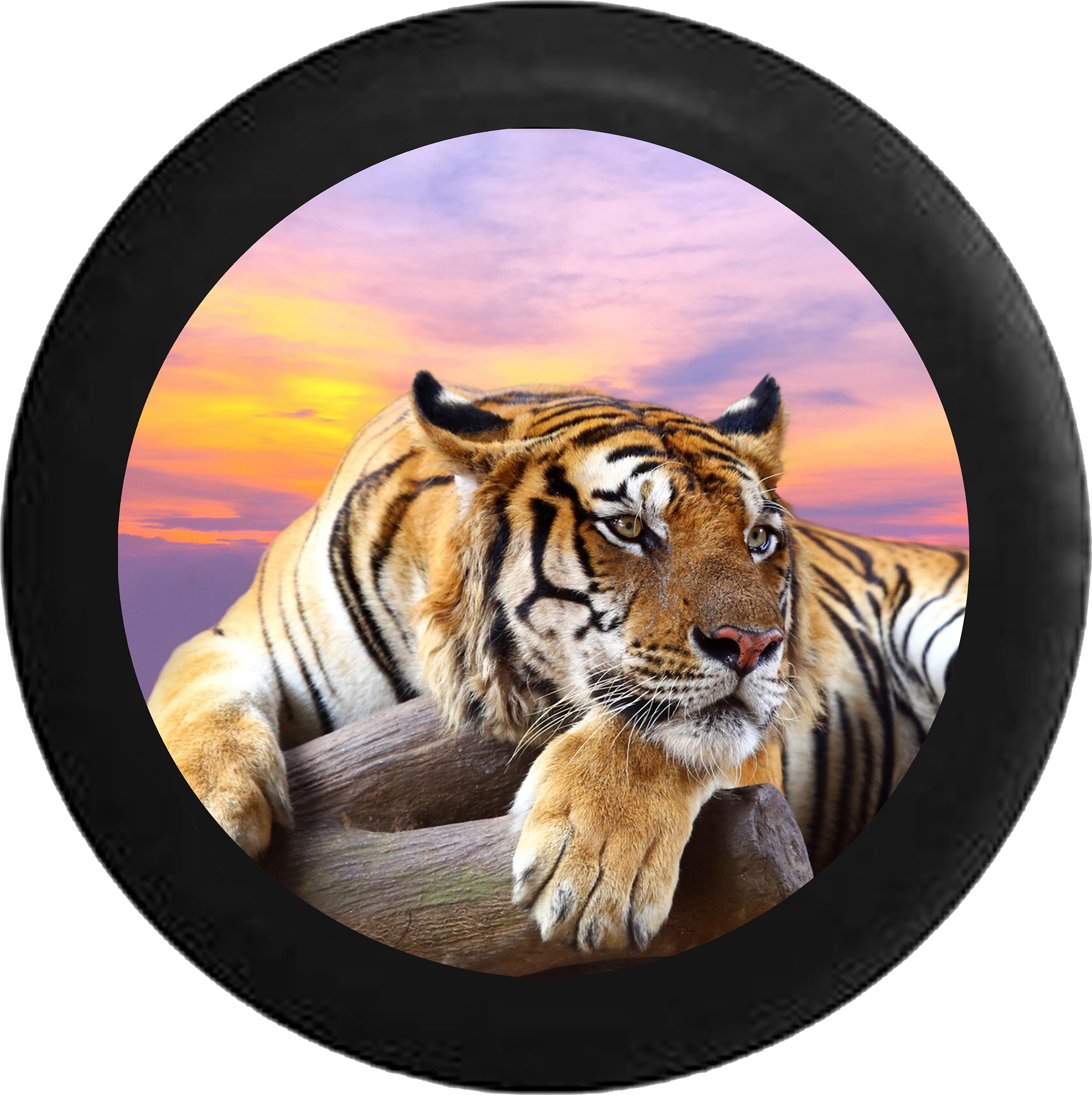 Lion Jungle Cat Sunset Sky On Log Jeep Camper Spare - Descargar Imagenes De Tigres , HD Wallpaper & Backgrounds