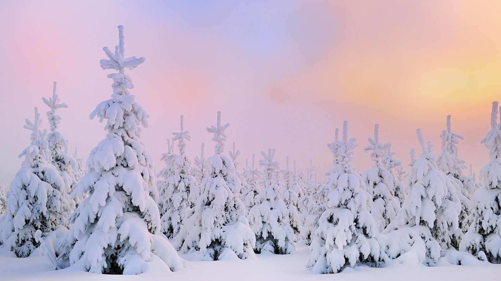 Winter Snow Desktop Wallpaper Hd - Snow Desktop Backgrounds , HD Wallpaper & Backgrounds