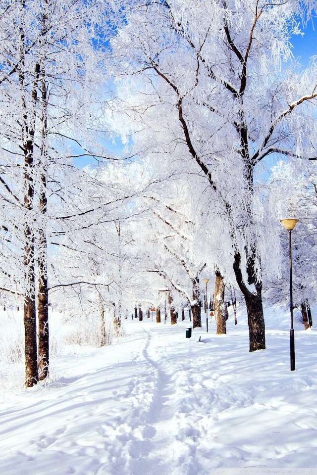 Winter Wallpapers For Mobile , HD Wallpaper & Backgrounds