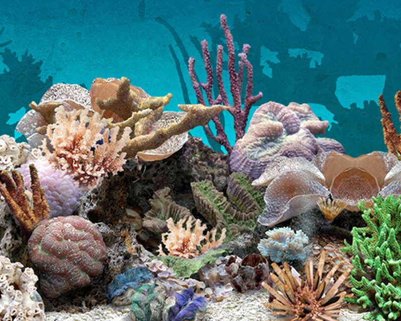 Aquarium Wallpaper 3d , HD Wallpaper & Backgrounds