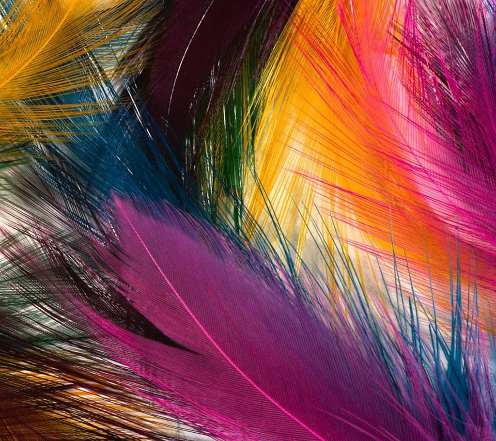 Wallpaper 007 - Beautiful Feathers Hd , HD Wallpaper & Backgrounds