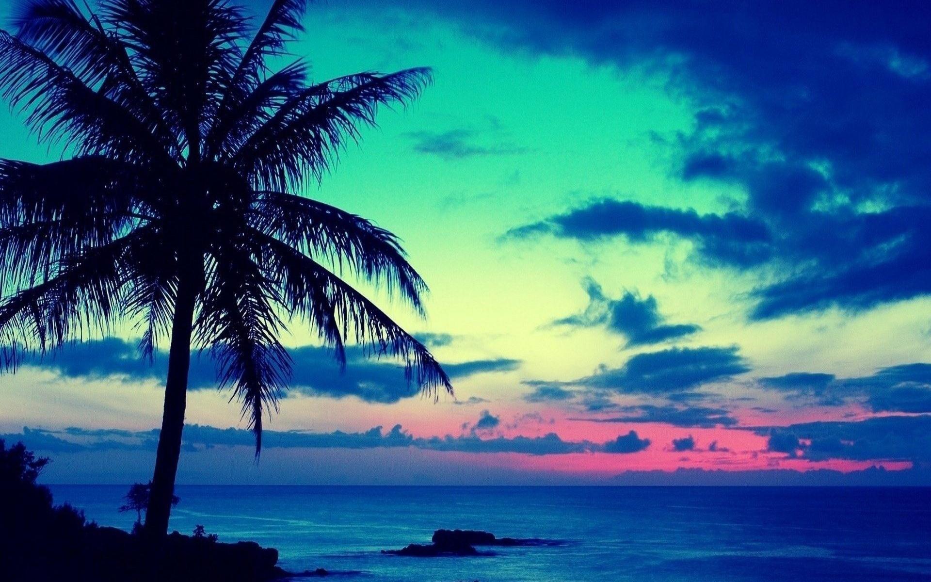 Ocean Live Wallpaper For Windows › Picserio - Beach Tropical Sunrise , HD Wallpaper & Backgrounds