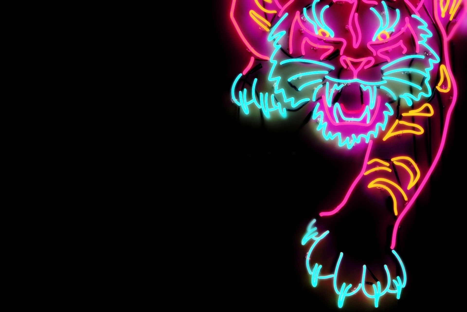 Hd Wallpaper - Tiger Neon Sign , HD Wallpaper & Backgrounds