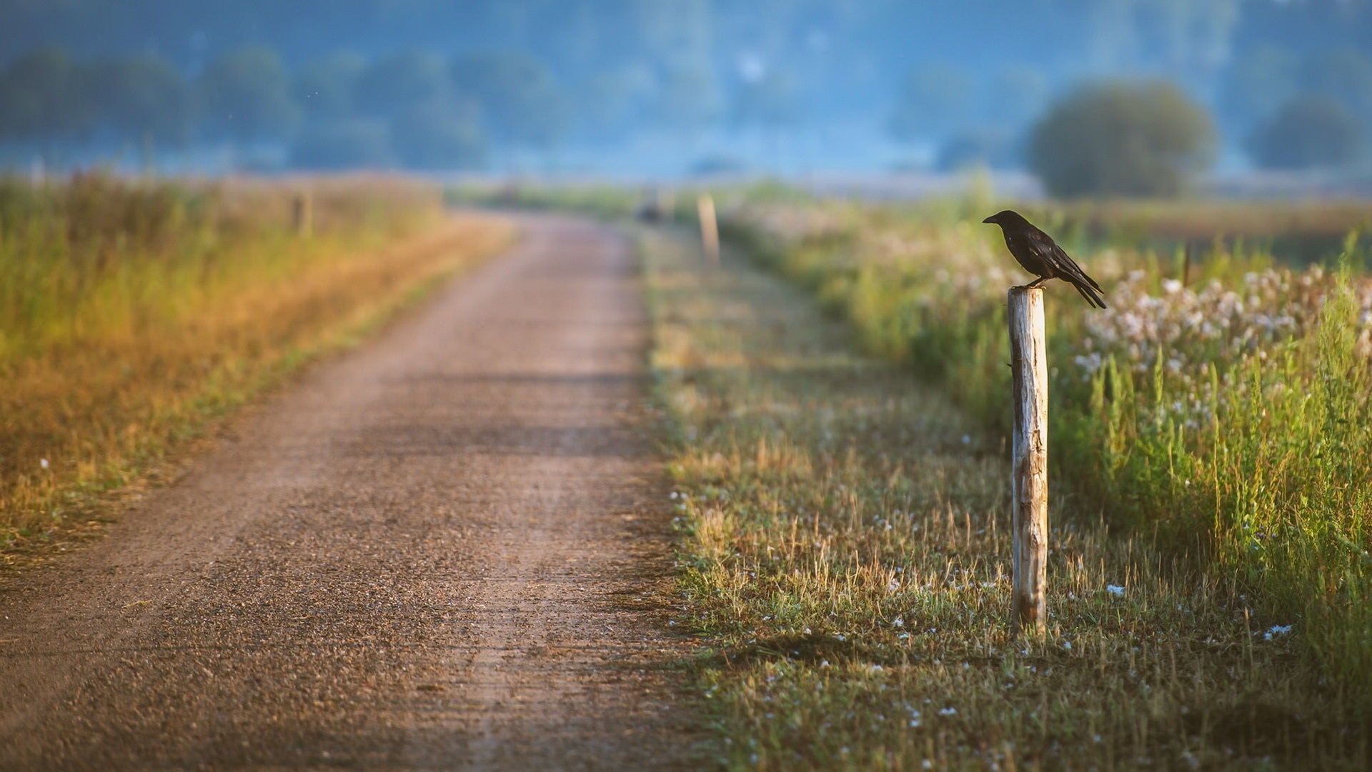 Blur Wallpaper Hd - Dirt Road , HD Wallpaper & Backgrounds