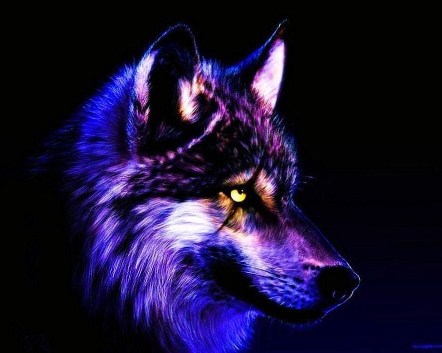 Cool Wallpapers Wolf - Cool Wolf , HD Wallpaper & Backgrounds