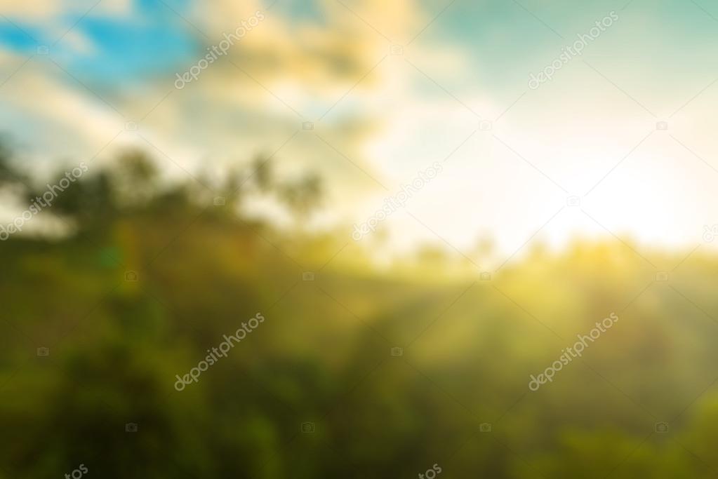 Nature Blur Background Sunrise Over Jungle Stock Photo - Sunlight , HD Wallpaper & Backgrounds